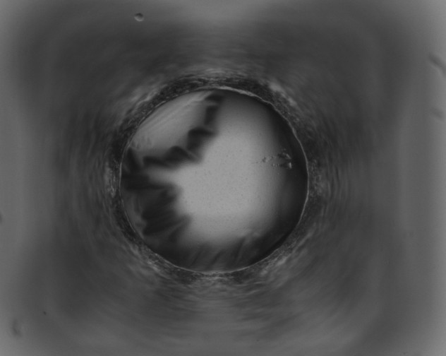 X0000095691253200801221240