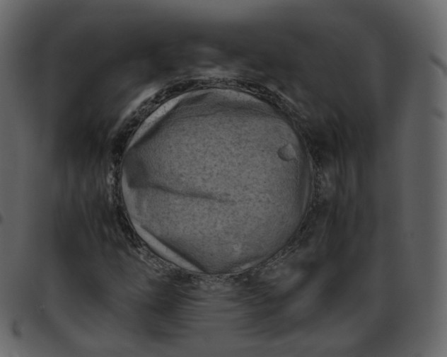 X0000095691254200801221240