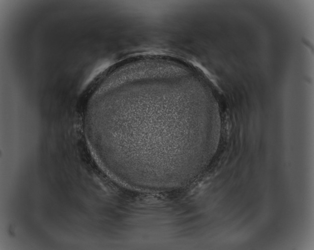 X0000095691255200801221240