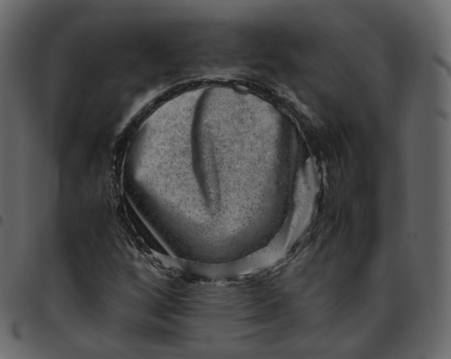 X0000095691256200801221240