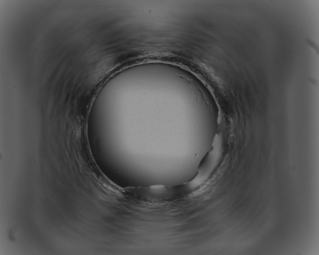 X0000095691257200801221240