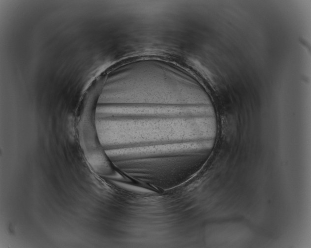 X0000095691260200801221240