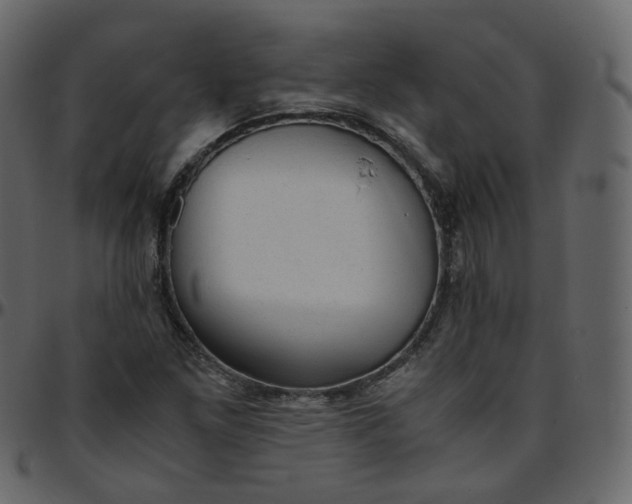 X0000095691261200801221240