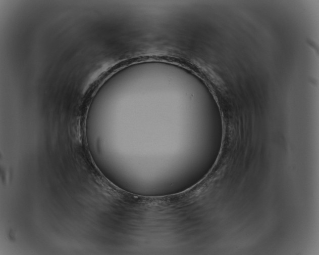 X0000095691262200801221240