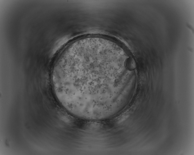 X0000095691263200801221240