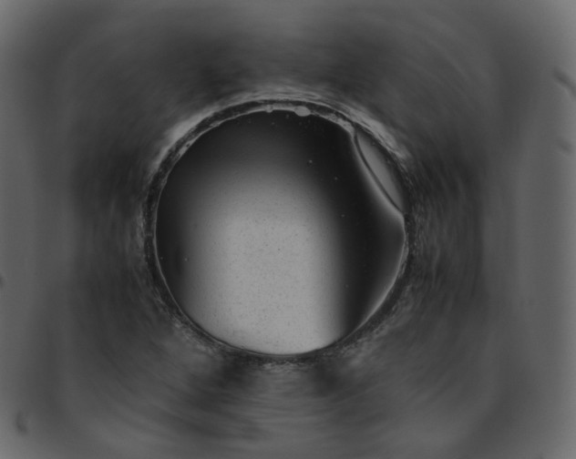 X0000095691264200801221240