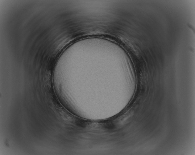 X0000095691265200801221240