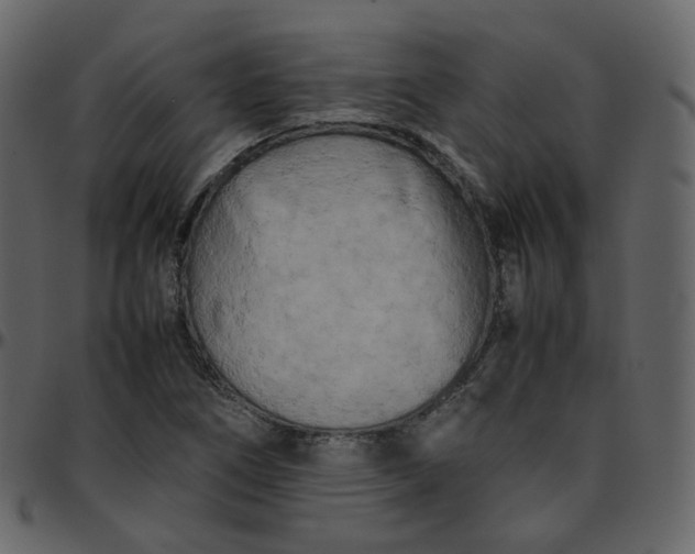 X0000095691266200801221240