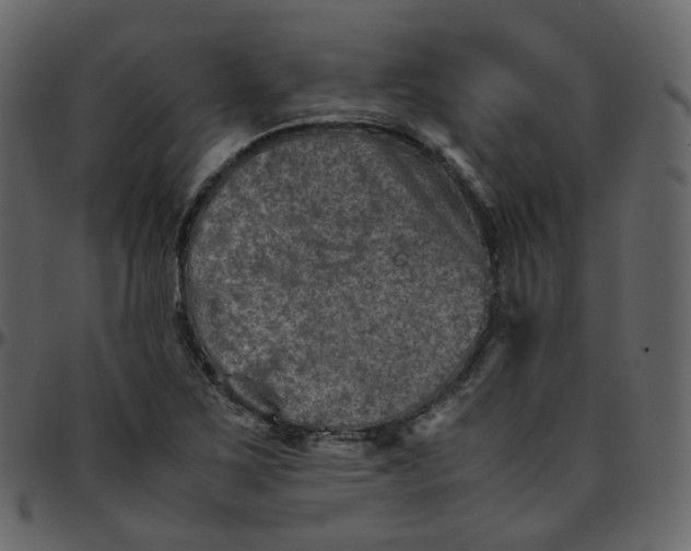 X0000095691267200801221240