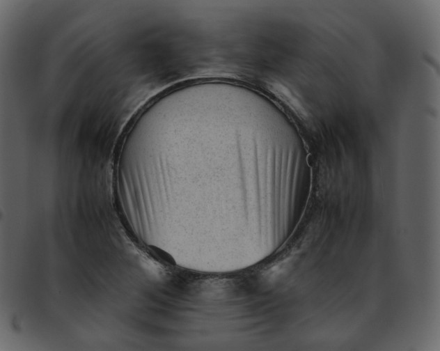 X0000095691268200801221240