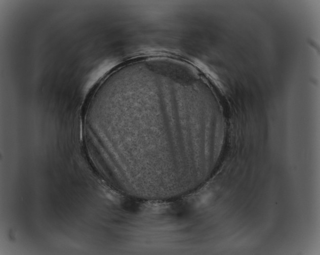 X0000095691269200801221240