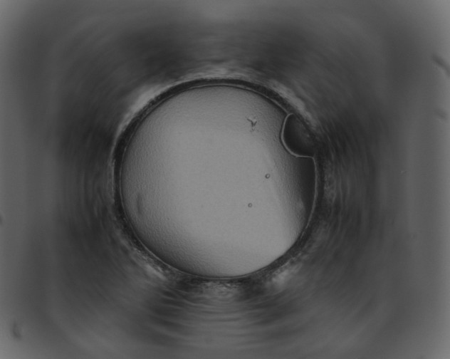 X0000095691270200801221240