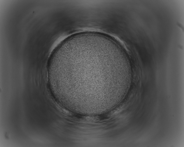 X0000095691271200801221240