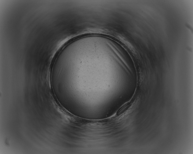 X0000095691272200801221240