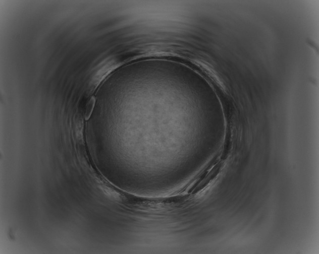 X0000095691273200801221240