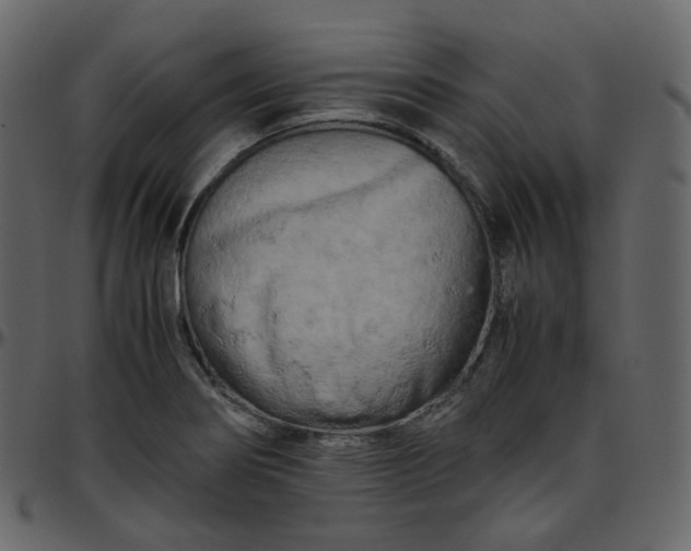 X0000095691274200801221240