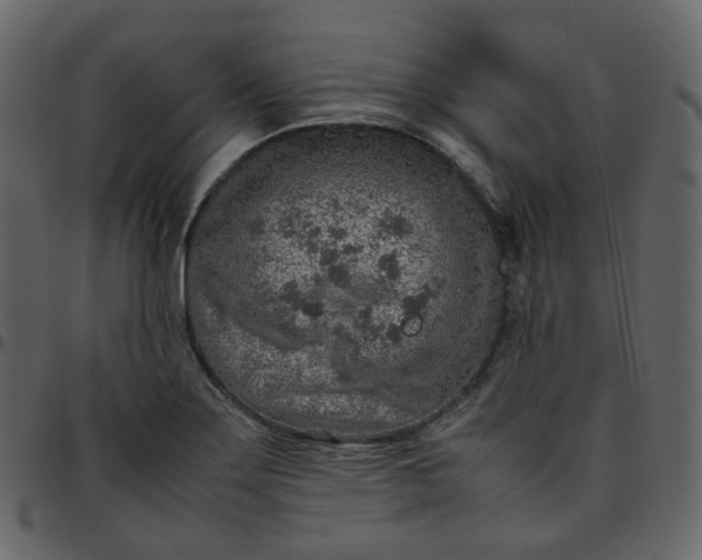 X0000095691275200801221240