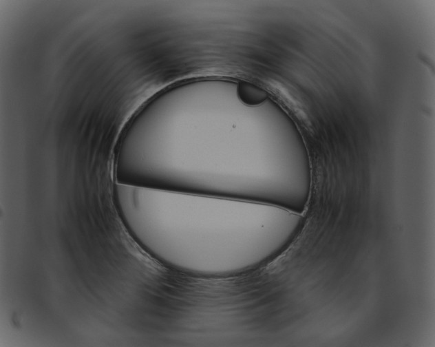 X0000095691276200801221240