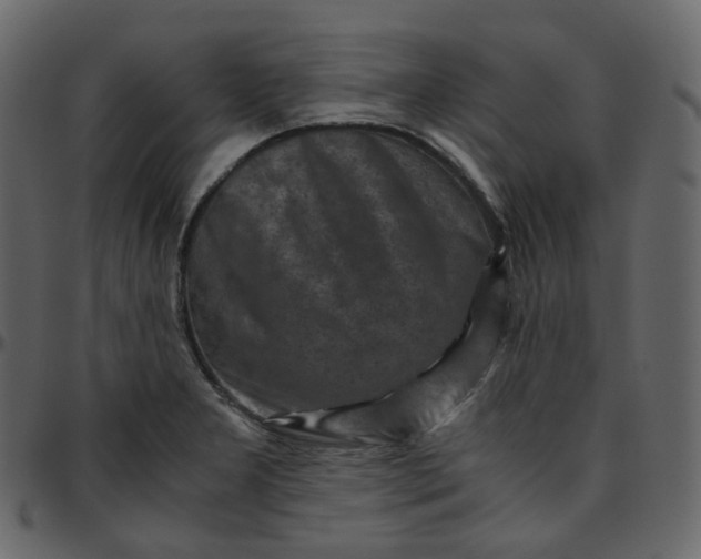 X0000095691277200801221240