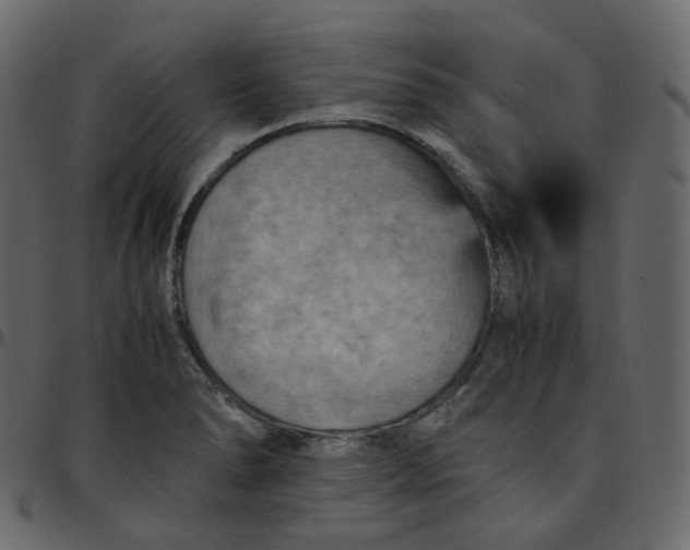 X0000095691278200801221240