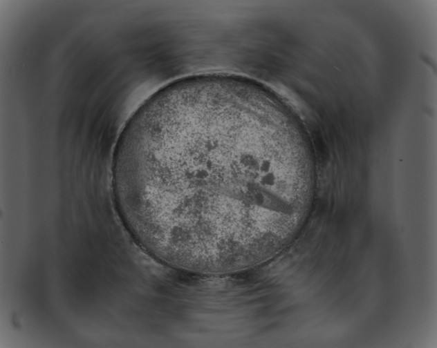 X0000095691279200801221240