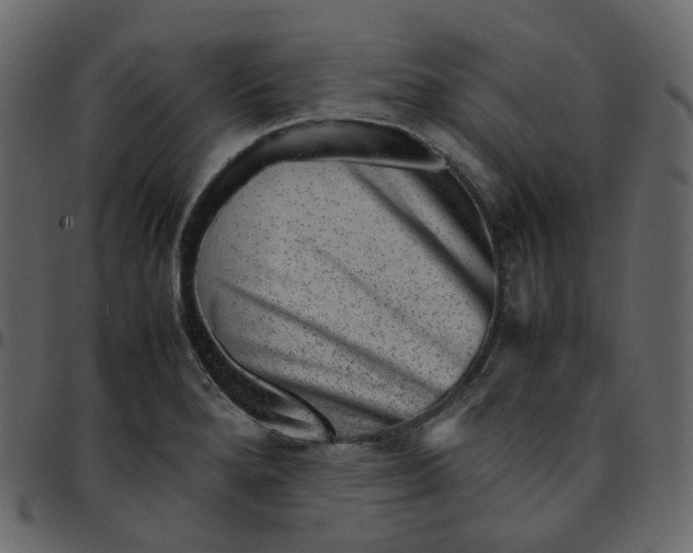 X0000095691280200801221240