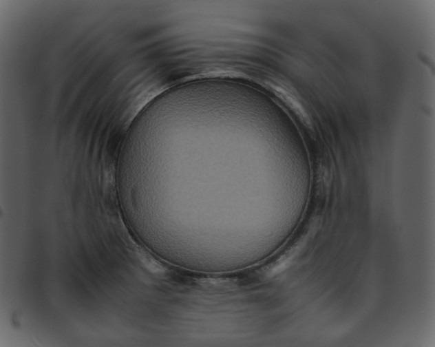 X0000095691281200801221240