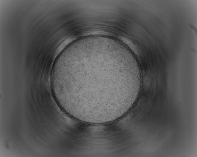 X0000095691282200801221240