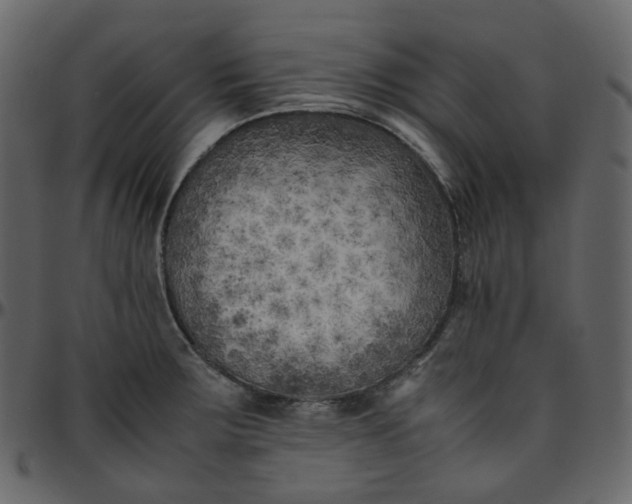 X0000095691283200801221240