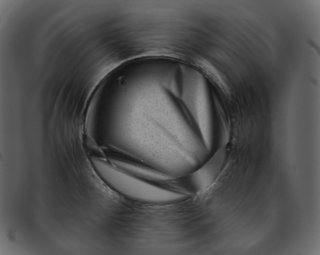 X0000095691284200801221240