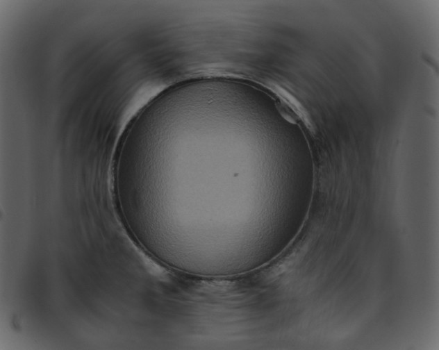 X0000095691285200801221240