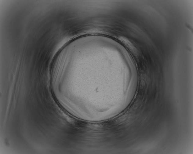 X0000095691286200801221240