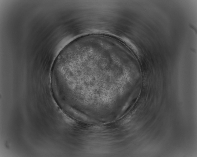 X0000095691287200801221239