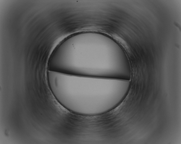 X0000095691288200801221239