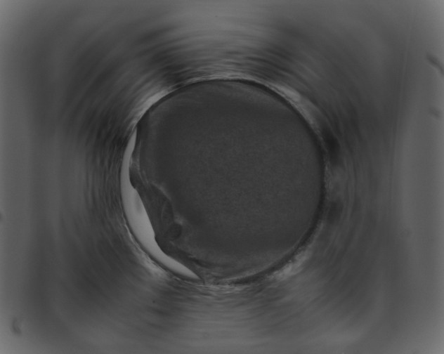 X0000095691289200801221239