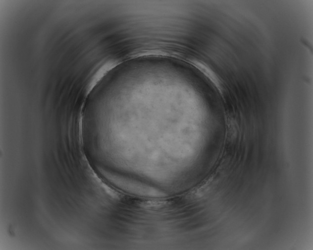 X0000095691290200801221239