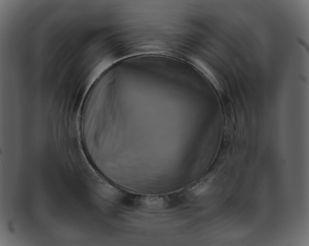 X0000095691291200801221239