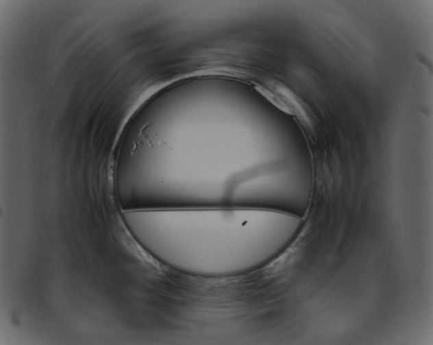 X0000095691292200801221239