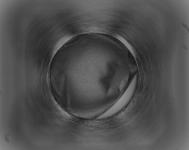 X0000095691293200801221239