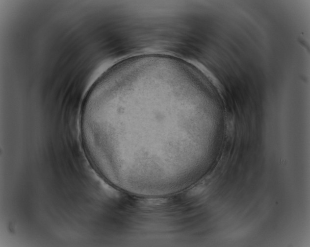 X0000095691294200801221239