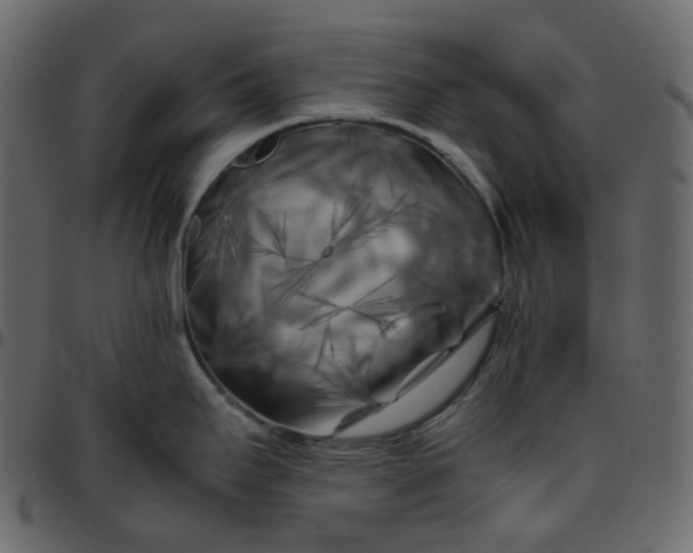 X0000095691295200801221239