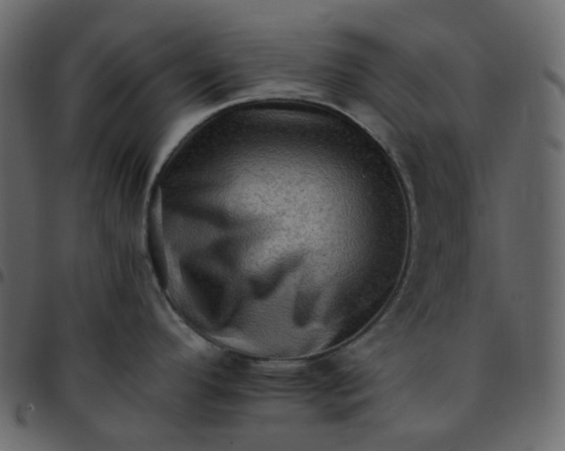 X0000095691296200801221239