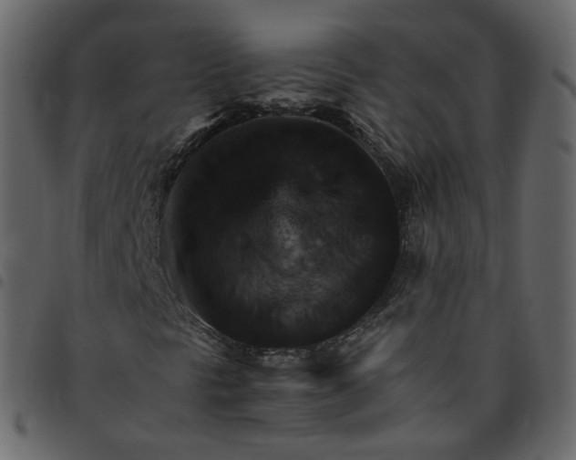 X0000095691297200801221239