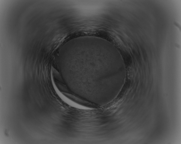 X0000095691298200801221239