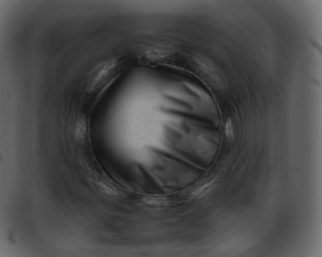 X0000095691299200801221239