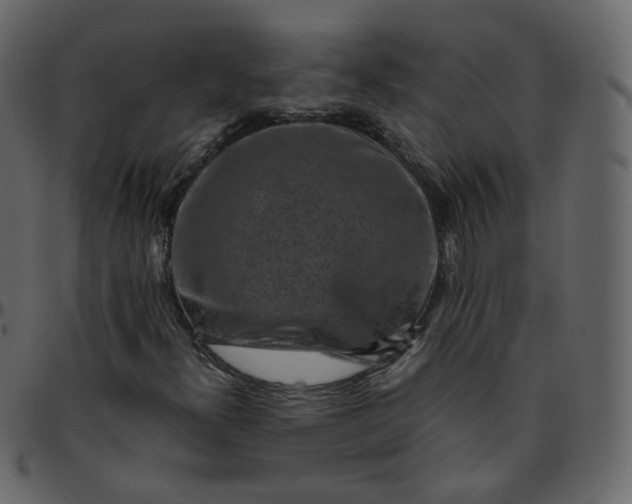 X0000095691300200801221239