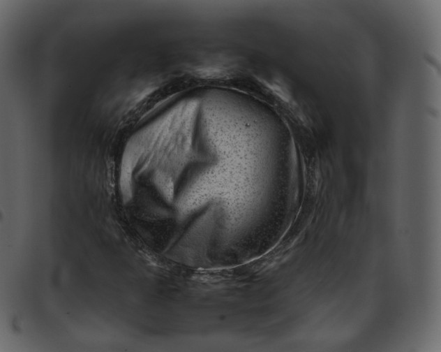 X0000095691301200801221239