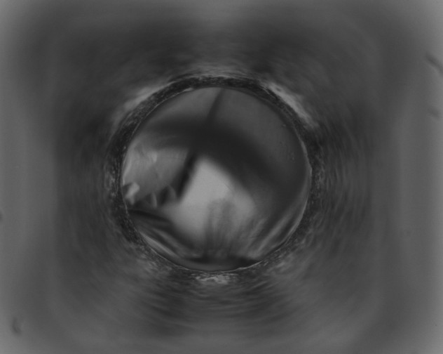 X0000095691303200801221239