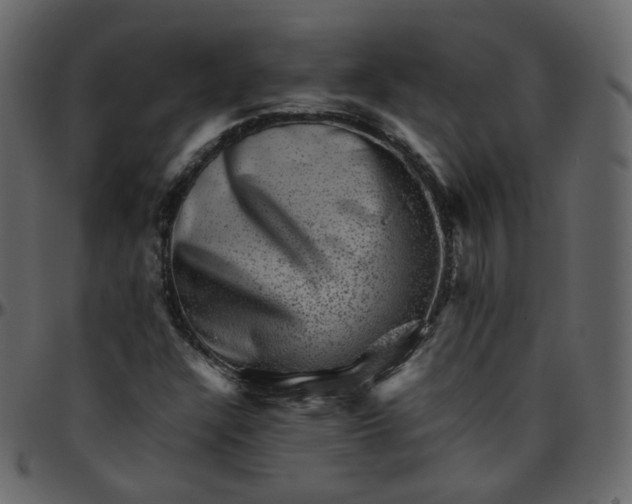 X0000095691304200801221239