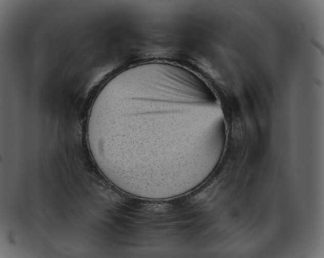 X0000095691309200801221239